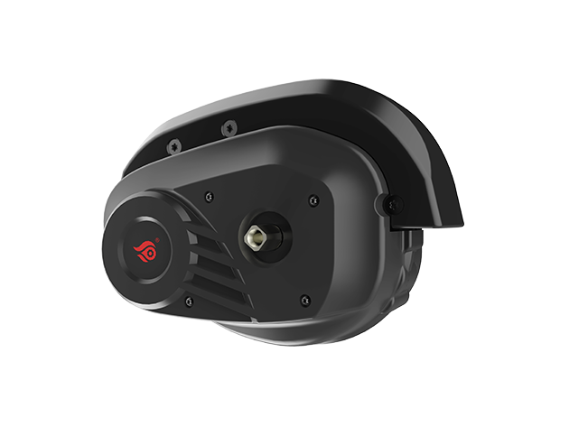 Electric Bike Motor