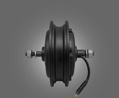 Electric Scooter Motor