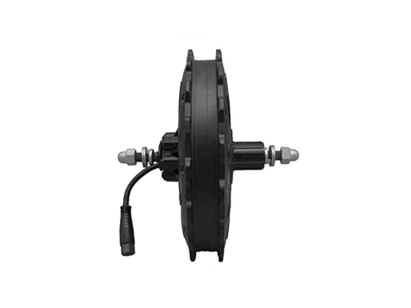 DGW09NC/DGW09NS-Rear Drive Motor-MTB