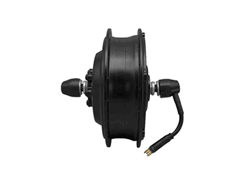 DGW22F-Rear Drive Motor-MTB